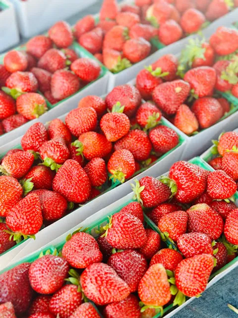 Adams/Vermont Farmer's Market