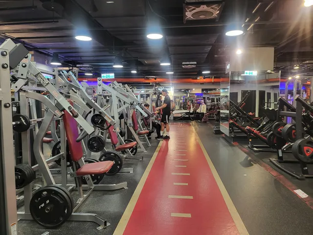 TRUE YOGA FITNESS/ 全真瑜珈健身古亭館