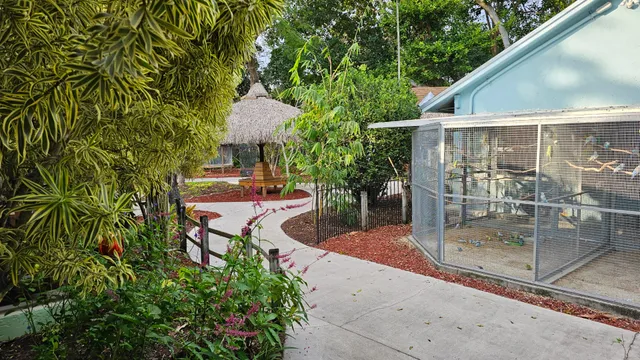 The Aviary Bird Shop