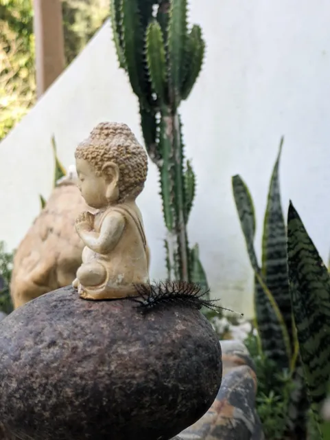 Spa Todos Tiempo pa uno