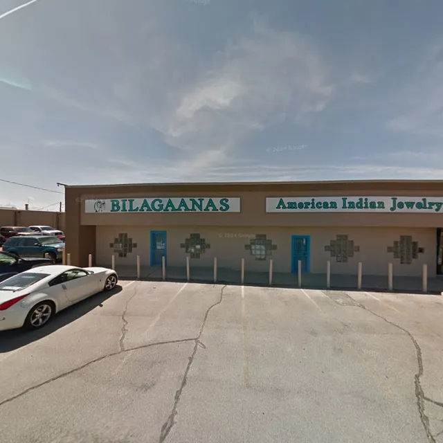 Bilagaanas