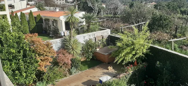 Com o Douro à vista