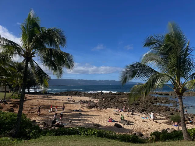 Sharks Cove Snorkeling
