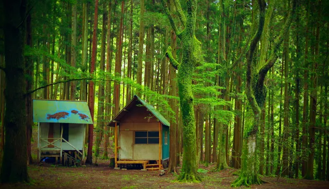 Kiyotsukyo Camping Ground