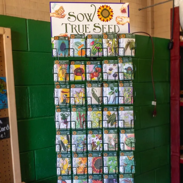 Roots and Shoots Nursery