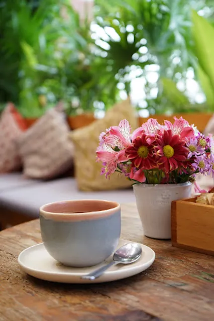 Café Bar 500 Noches Mérida