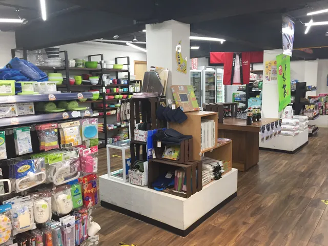 Dokkoi Japan Wavia AMJ