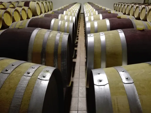 Cantina Albinea Canali