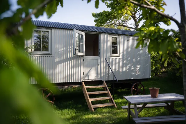 Bert's Kitchen Garden
