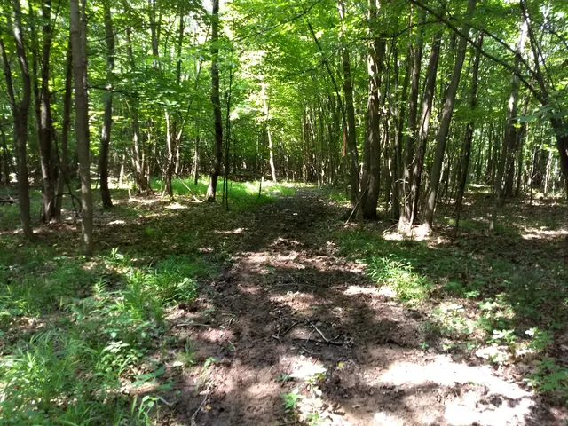 Vickers Nature Preserve