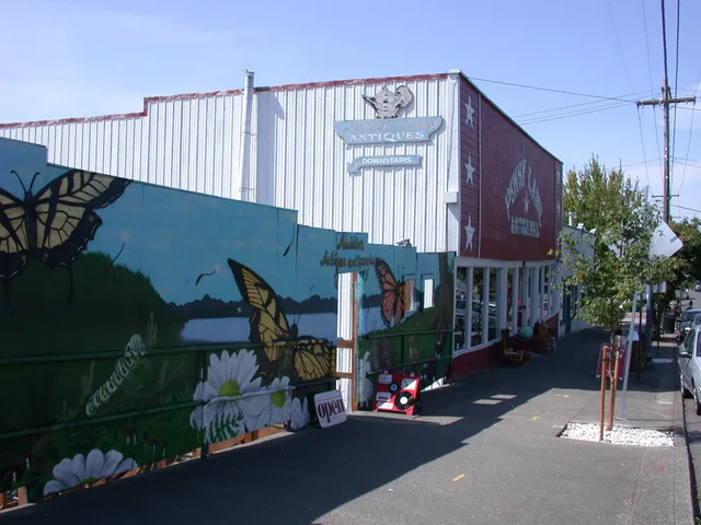 Aladdin's Antiques and Records