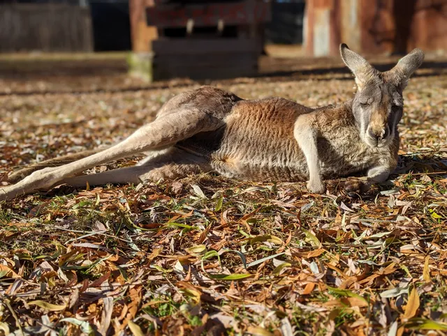 Australian Outback Adventure