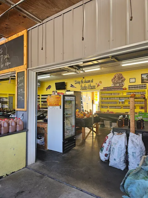 Randolph Peaches & Cream