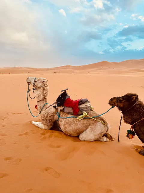 Nomad Expeditions 4x4, Excursiones y Viajes al desierto de Marruecos