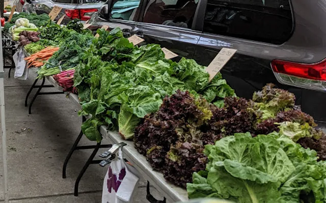 East 67th Street Market (btw 1st & York Ave)