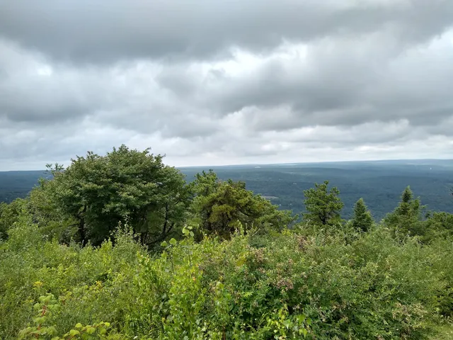 State Game Lands Number 38