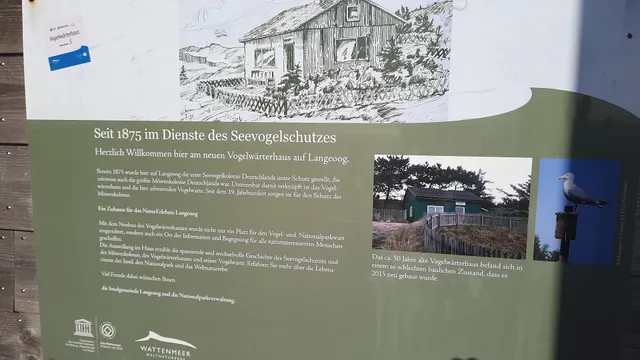 photo-3