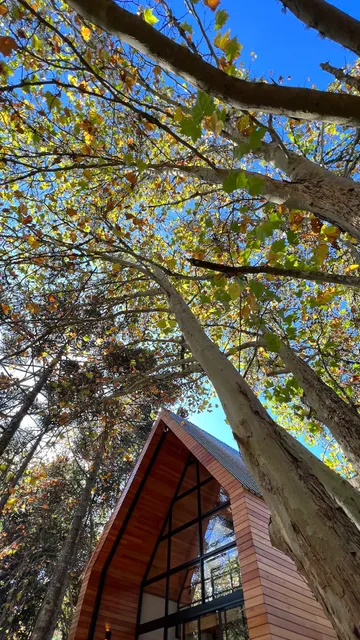 Cabanas Jardim de Tereza