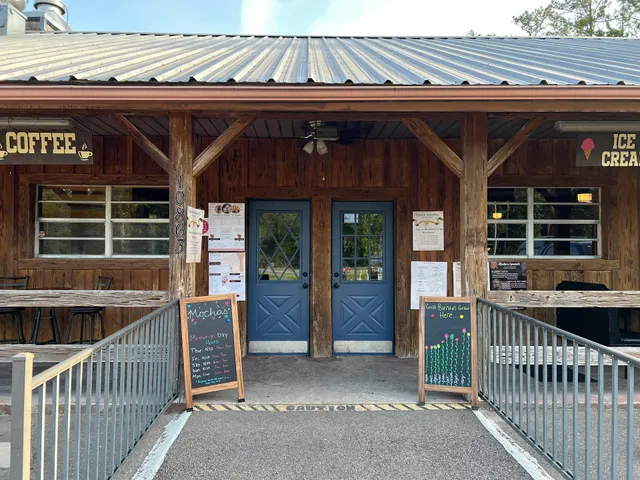 Mocha's Silver Springs