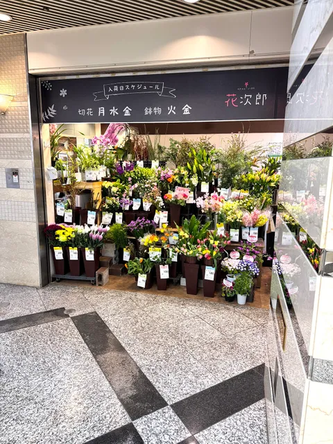 Flower shop Hanajiro Namba Walk