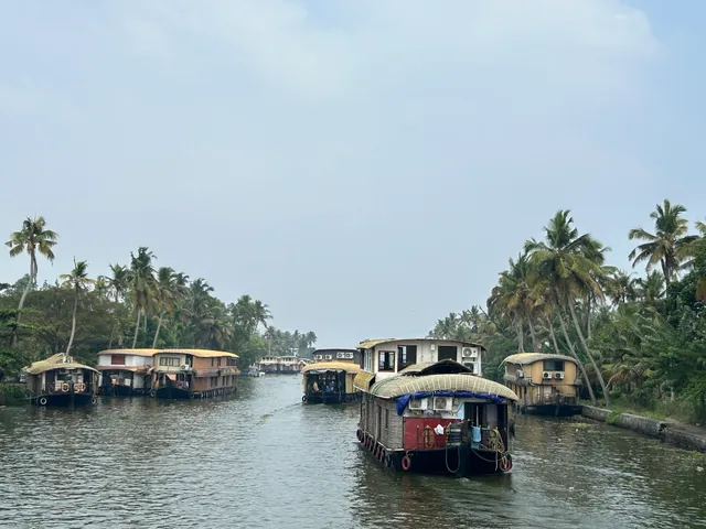 Pack N Go Holidays: Trusted Travel Agency & Tour Operator