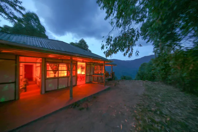 Gorilla Closeup Lodge