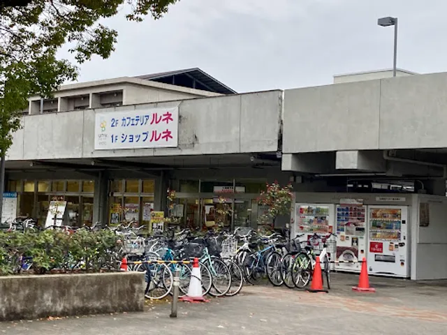 Kyoto University Coop Cafeteria Renais