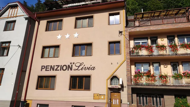 Penzión Lívia***
