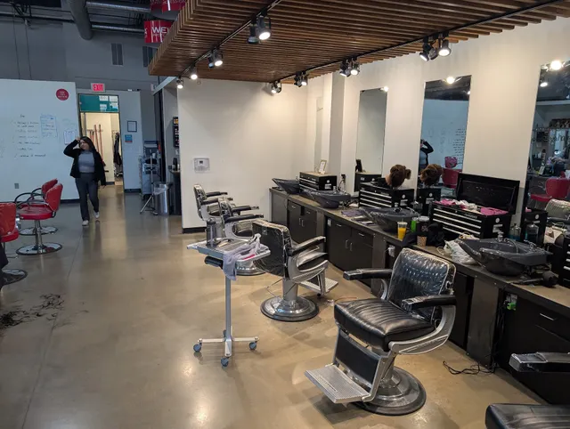 The Hair Arts Institute