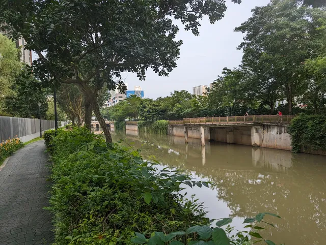 Alexandra Park Connector