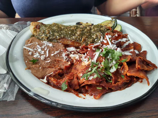 Oak From Root to Table