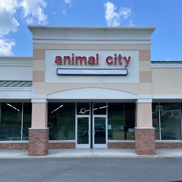 Animal City