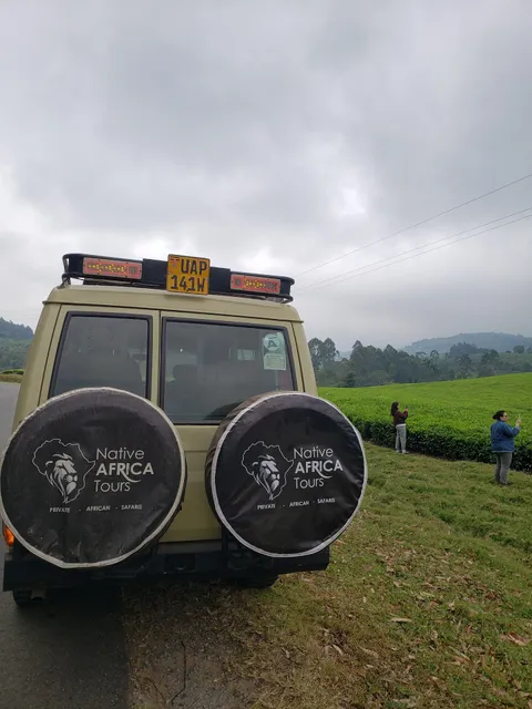 Uganda Gorilla Safaris