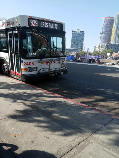 Paradise Development