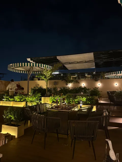 Thirsty Camel Jaipur