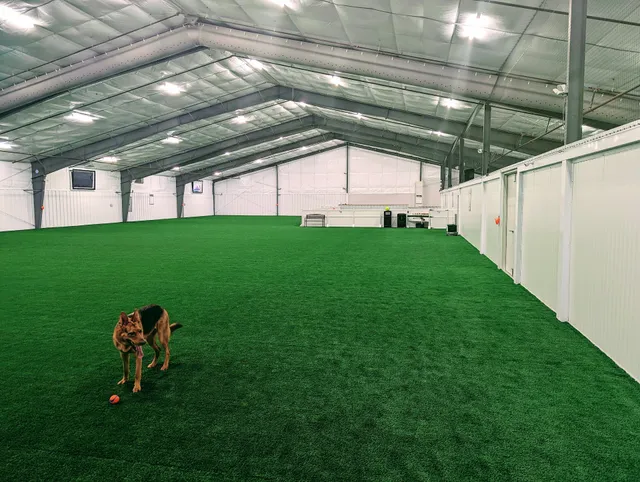 The Indoor Dog Park