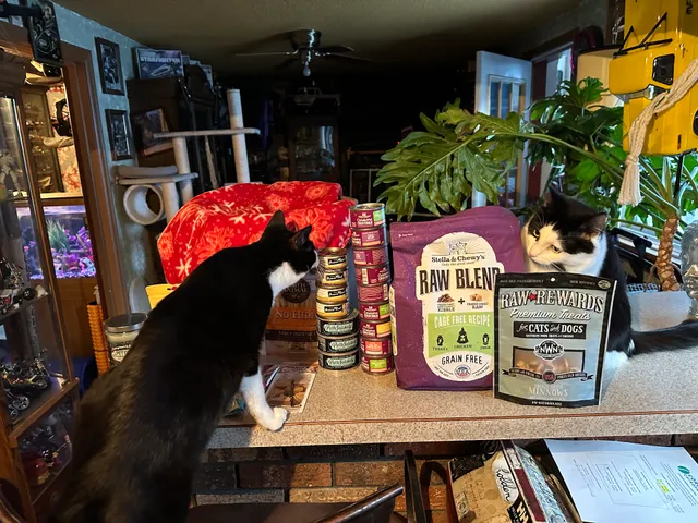 Gourmet Doggie Diner