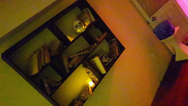 Werewolf (Coffee - Milk tea - Homestay)