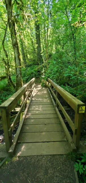 OSU Research Forest-Road 540 Trailhead
