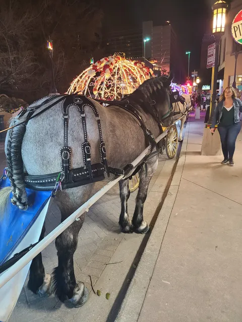 Bluebonnet Carriage Co