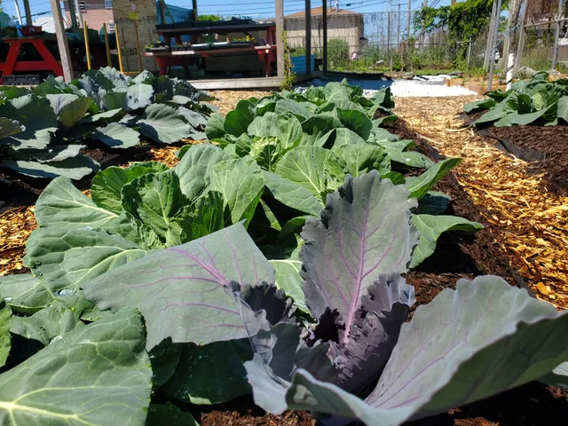 Far Rock Urban Agro Education Center