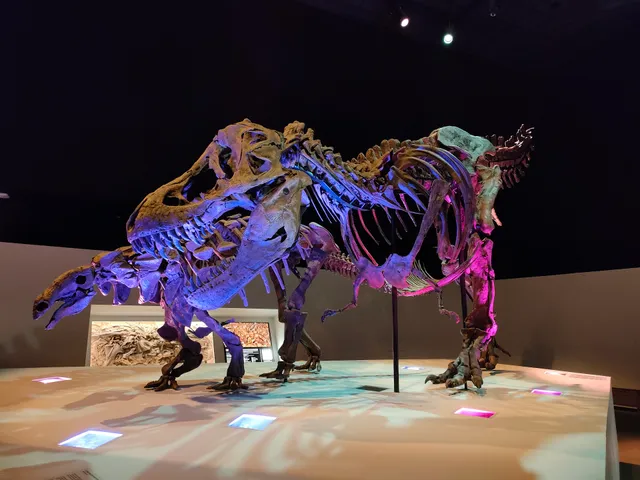 Houston museum of natural History
