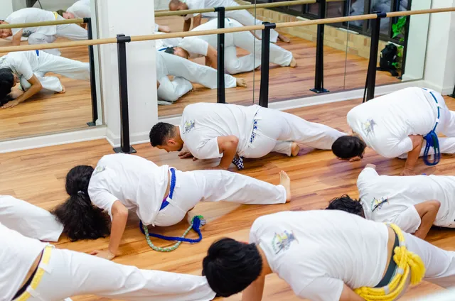 Brazilian Capoeira School