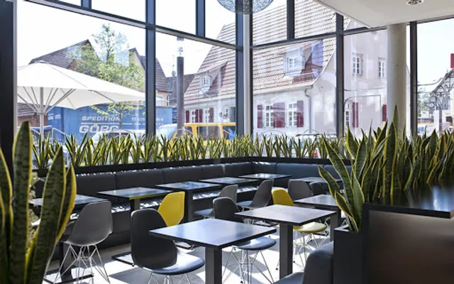 Treiber Spezialitäten Bäckerei Konditorei