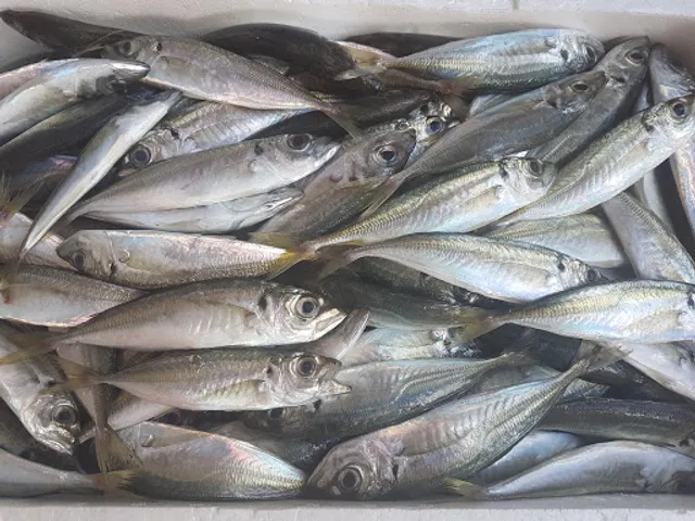 Churrasqueira Brenda