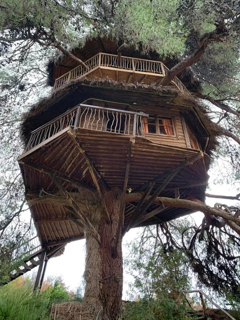Treehouse Greece