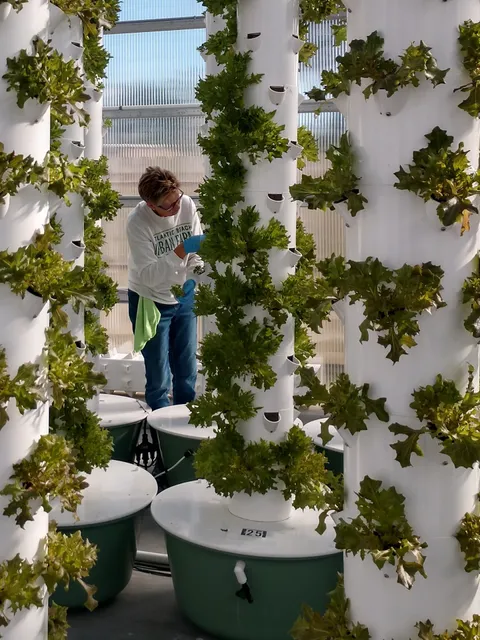 Atlantic Beach Urban Farms