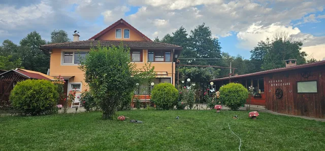 Pension yard grandmother