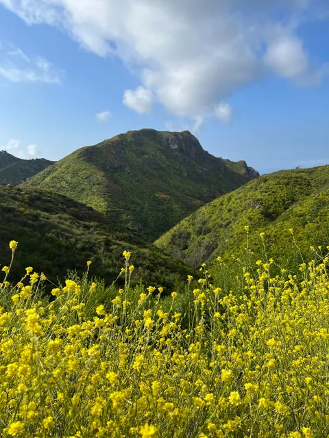 Backbone Trail Access at Kanan