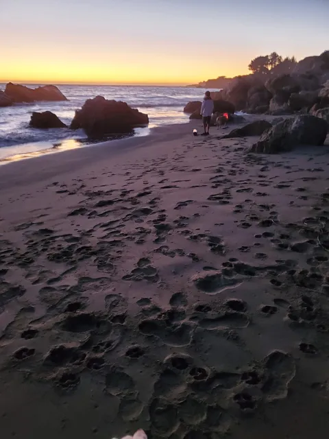 Sea Ranch Beach Rentals